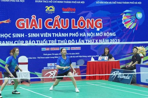 Những mùa giải chuyên nghiệp và giàu cảm xúc