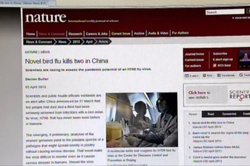 Phát hiện mới về virus cúm gia cầm H7N9