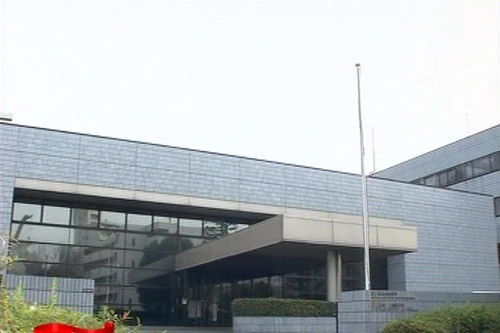 Virus cúm gia cầm mới có thể lây nhiễm sang người