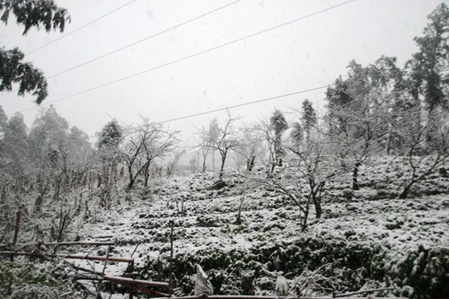 Cuối tuần này có tuyết rơi ở vùng núi phía Bắc