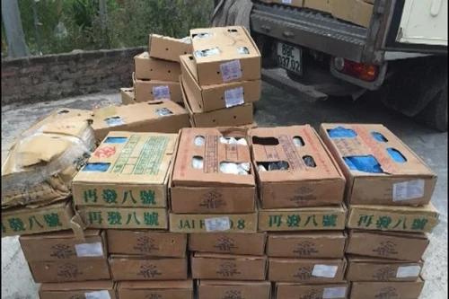 CAH Gia Lâm phát hiện 400kg cá kìm đông lạnh không rõ nguồn gốc