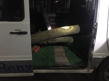 CSGT phát hiện, thu giữ gỗ sưa giấu trong xe ô tô