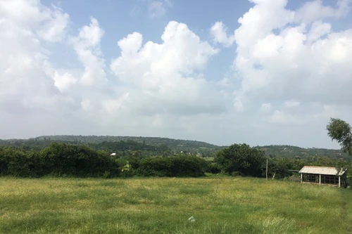 Tìm về miền đất "hoa vàng và cỏ xanh"