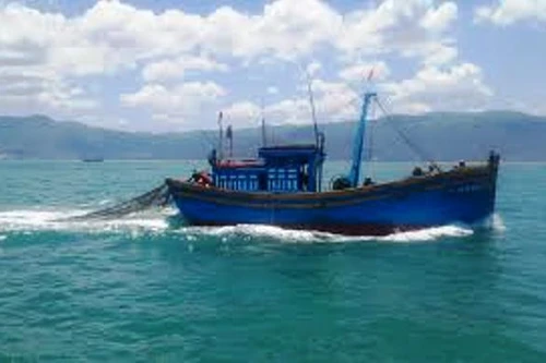 Đang tìm kiếm ngư dân rơi từ tàu đánh bắt xa bờ xuống biển