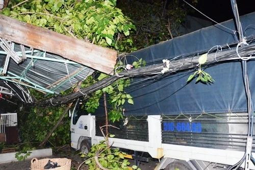 Cây bồ đề bất ngờ bật gốc, nhiều người thoát chết