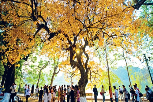 Thứ bảy nào ta đi "dạo tẩy"