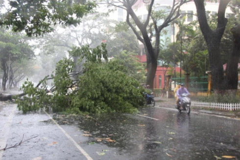 Bão số 3 làm 6 người chết và mất tích, 4 người bị thương