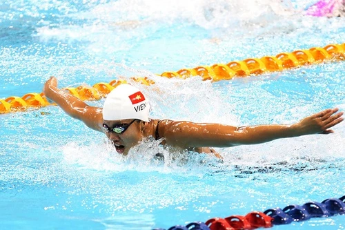 Ánh Viên chủ động "buông" 2 nội dung thi đấu tại Olympic 2016