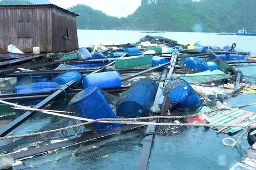 Công bố dự thảo Thông tư cơ cấu nợ cho khách hàng bị ảnh hưởng bởi bão số 3