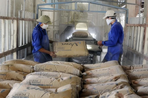 Hàng loạt khoản đầu tư có khả năng mất vốn, Vicem phải trích lập dự phòng hơn 3.000 tỷ đồng