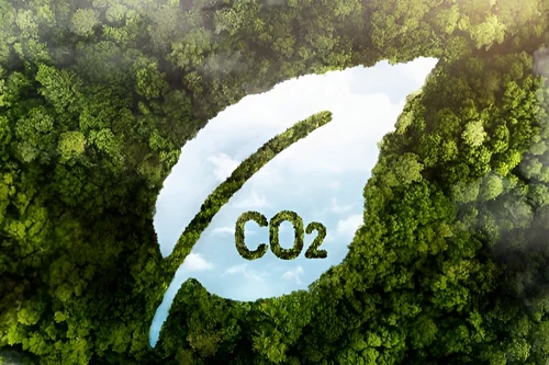 Bổ sung 4 khoản thu nhập được miễn thuế thu nhập doanh nghiệp