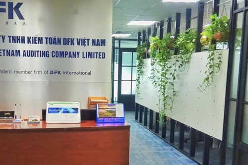 Vì sao công ty kiểm toán Sài Gòn Đại Ninh và Quốc Cường Gia Lai bị đình chỉ?