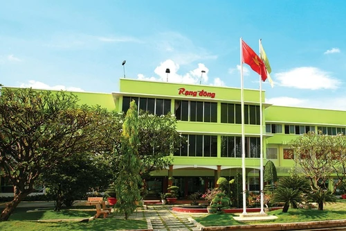 Cổ phiếu bị đình chỉ giao dịch, Rạng Đông Holding nhận thêm “án” phạt vì công bố lỗ thành lãi