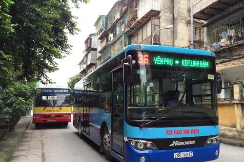 Xe buýt tuyến 36 và 38 được "mặc" áo mới