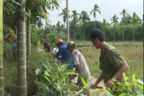 "Có người thả rắn lục đuôi đỏ" chỉ là tin đồn thêu dệt