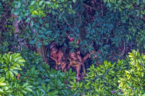 Hình ảnh hiếm hoi về bộ lạc không mặc quần áo, 4 năm di cư một lần ở Brazil