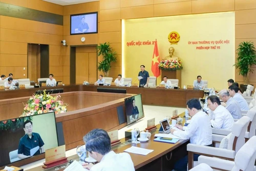 Ủy ban Thường vụ Quốc hội tiếp tục cho ý kiến về đấu giá biển số ô tô