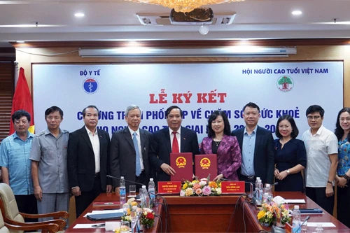 Việt Nam chỉ còn khoảng 15 năm để bước vào giai đoạn dân số già