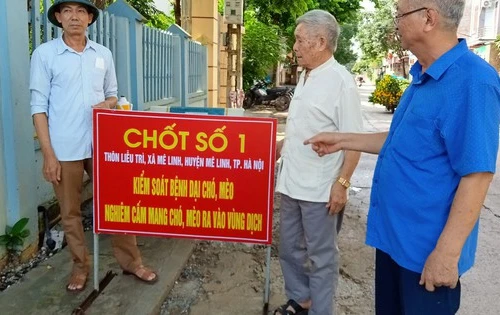 Đã có 60 người tử vong do bệnh dại, nghiêm cấm việc chữa trị bằng thuốc nam