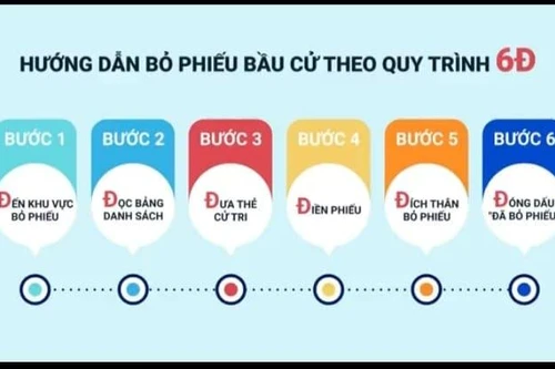 Video hướng dẫn bỏ phiếu bầu cử theo quy trình 6D