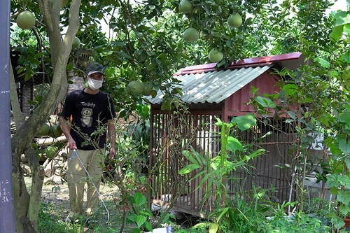 Thêm một người bị chó dại cắn ở Sóc Sơn