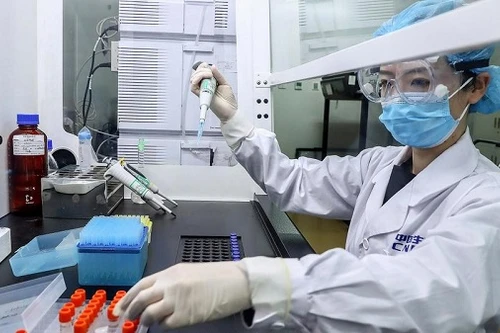 Việt Nam đang đặt mua vaccine Covid-19 của Nga, Mỹ và Anh