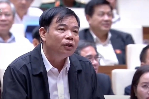 ĐBQH tranh luận với Bộ trưởng Nông nghiệp về bảo vệ rừng, phòng thiên tai