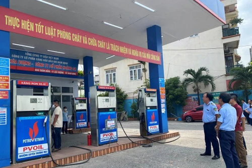 Thanh tra Chính phủ bắt đầu vào cuộc thanh tra việc cung ứng xăng dầu