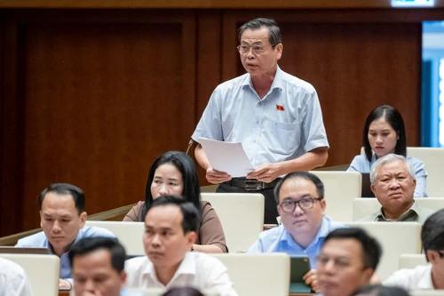 Đại biểu Quốc hội: Lần nào tiếp xúc cử tri cũng nóng vấn đề quản lý vàng, lương giáo viên…