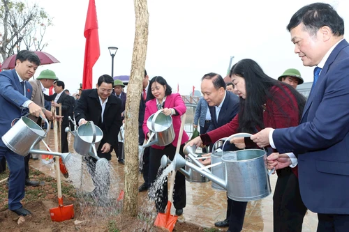 Bí thư Thành ủy Hà Nội dự Tết trồng cây tại Thường Tín