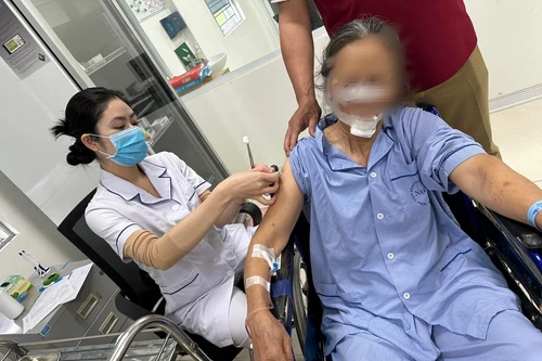 Hà Nội: Một người bị chó hàng xóm tấn công phải khâu gần 70 mũi