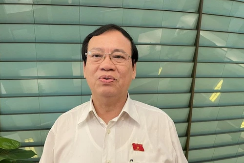 Đại biểu Quốc hội: Xử lý ông Chu Ngọc Anh, ông Nguyễn Thanh Long đau xót nhưng phải làm