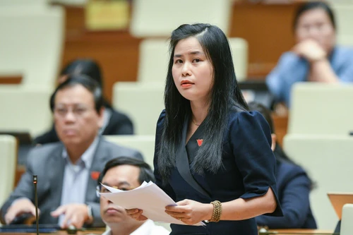 ĐBQH đề nghị truy trách nhiệm người tiêu dùng nếu biết hàng giả, hàng nhái vẫn dùng