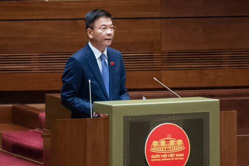 Người trúng đấu giá nhưng bỏ cọc không mua có thể bị phạt tiền bằng 50% mức giá đã trả 