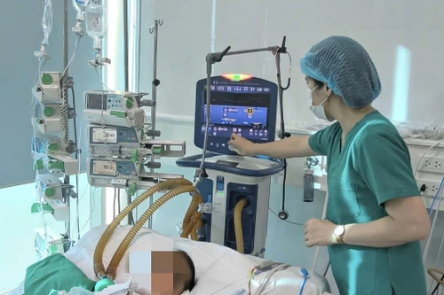 Bé gái dương tính với bệnh dại vì bị chó nhà cắn nhưng không nói với bố mẹ