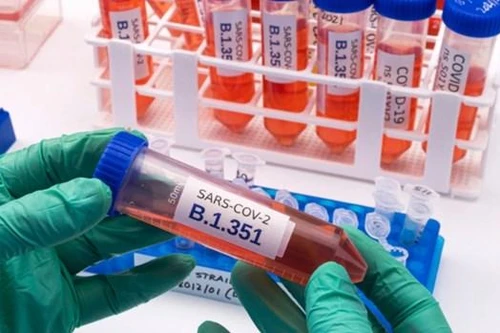 Phát hiện 37 mẫu bệnh phẩm tại Đà Nẵng, Hải Phòng... mang biến chủng Anh và Ấn Độ