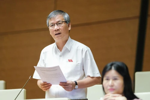 ĐBQH: Nhiều khi không biết Ban Thanh tra nhân dân ở một số nơi đang có hoạt động gì?