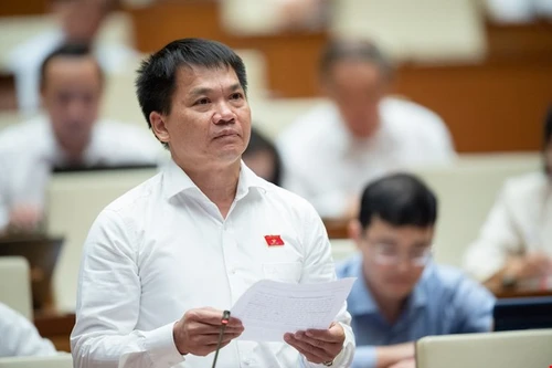 ĐBQH nói về 44 cơ chế đặc thù cho TP HCM: Không chỉ đặc thù mà còn phải đặc biệt