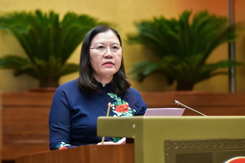 Bổ sung quy định nghiêm cấm “thỏa thuận mua bán người từ khi còn đang là bào thai”