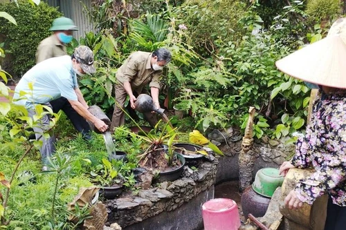 Dịch sốt xuất huyết trên cả nước tăng 75%, tại Hà Nội đang diễn biến ra sao?