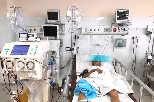 Uống nước nấu từ lá cây rừng để chữa táo bón, nhiều bệnh nhân nguy kịch