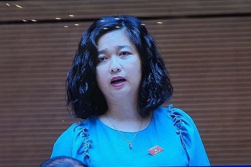 Nữ đại biểu Quốc hội Tây Nguyên tranh luận thẳng thắn với hai Bộ trưởng