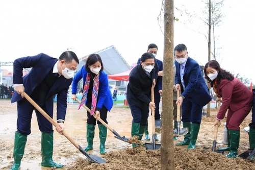 Hà Nội tổ chức kỷ niệm 1982 năm khởi nghĩa Hai Bà Trưng và phát động Tết trồng cây ở Mê Linh