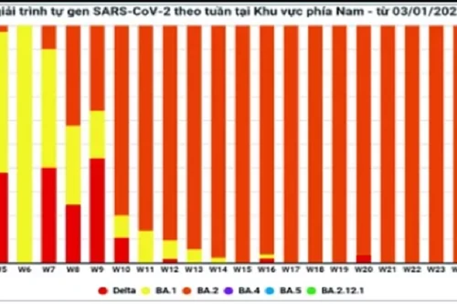 Việt Nam xuất hiện thêm biến thể mới của Omicron, có khả năng lẩn tránh miễn dịch cao