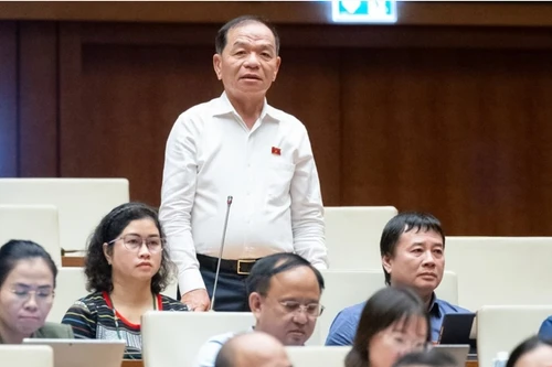 Quốc hội sẽ lựa chọn giám sát tối cao về ô nhiễm môi trường hoặc nhân lực chất lượng cao