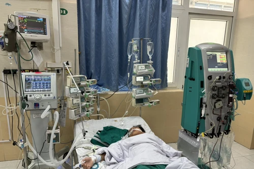 Lên nhà người thân ở Hà Nội chơi, bé trai 10 tuổi bất ngờ sốc nhiễm khuẩn nguy kịch