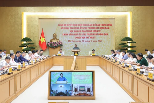 Thủ tướng: Giá nhà cứ 100 triệu/m2 thì dân làm sao có tiền mua được?