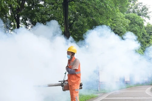 Bộ Y tế: Việt Nam chưa ghi nhận ca bệnh Chikungunya 