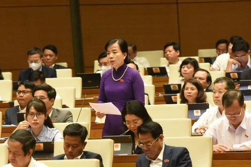 ĐBQH: Liệu có những vụ Việt Á trong lựa chọn sách giáo khoa không?