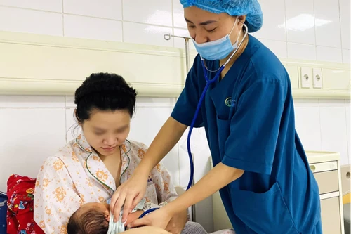 Ba người trong một gia đình, gồm thai phụ 23 tuổi ngộ độc nguy kịch nghi do ăn món trứng cò